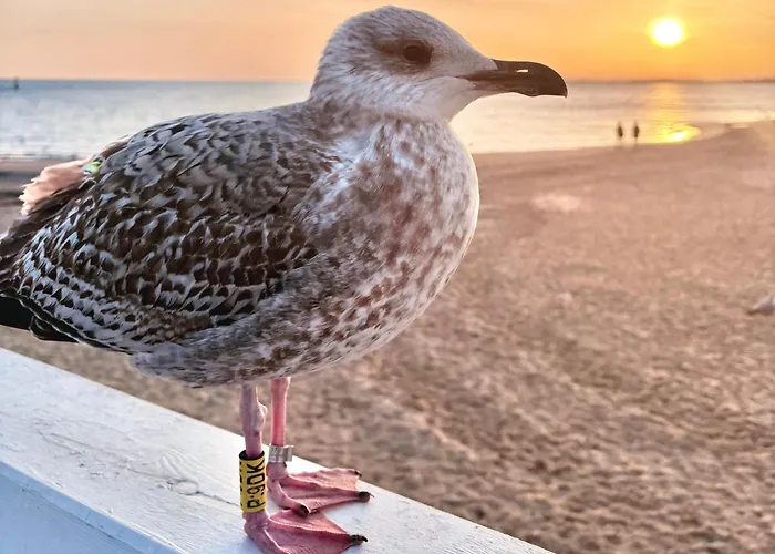 Appartement Home3city Kameralny Sopot